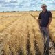 AGT’s Durum Breeder Tom Kapcejevs GRDC NVT plot of Westcourt at Bellata, NSW