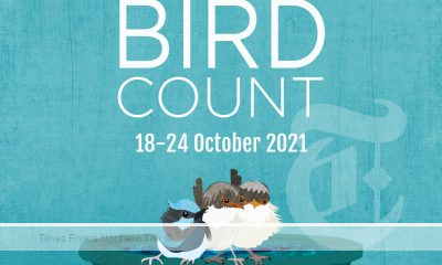 Aussie Backyard Bird Count and Lismore City Council