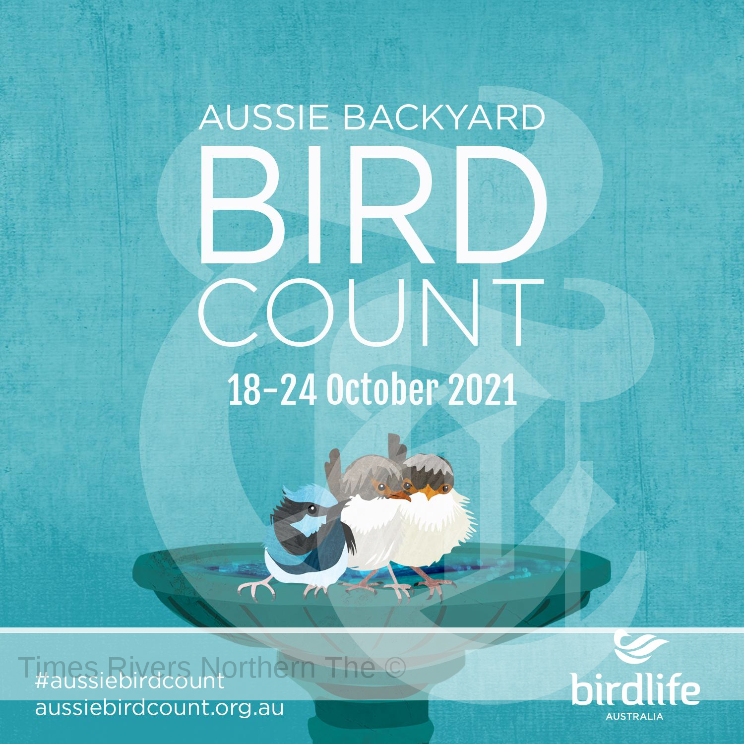 Aussie Backyard Bird Count and Lismore City Council