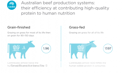NET PROTEIN CONTRIBUTION SCORES TYPICAL AUSTRALIAN BEEF PRODUCTION SYSTEMS MAKE TO HUMAN NUTRITION.