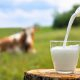 Global dairy markets “teetering on the edge”