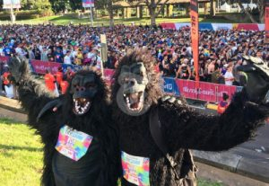 2 fake gorillas standing in front of a crowd at city to surf.
