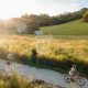 The Northern Rivers Rail Trail in Byron Bay