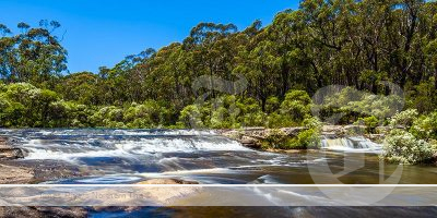 A flowing creek with forest around it.