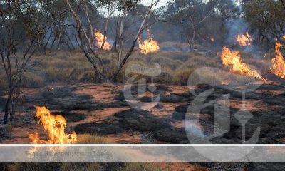 Small patches of land being burnt as management from Grants