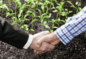 Farmer and business man shaking hands over a crop