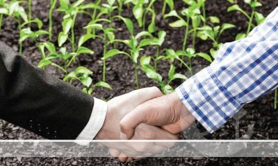 Farmer and business man shaking hands over a crop