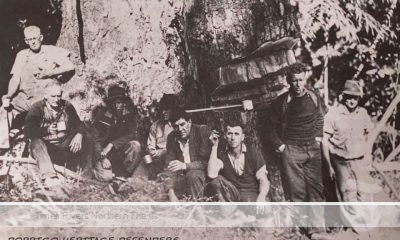 Bill Haydon is second from the left with a timber-getting party. Photo courtesy Dorrigo Heritage Defenders