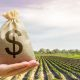 A hand holding a money bag in front of a field.