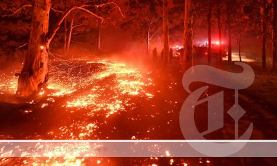 Australian Bushfires - This bushfire season could be bad. Protect yourself by doing these five things