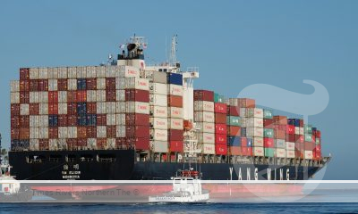 A hitchhiker on a containers ship.