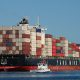 A hitchhiker on a containers ship.