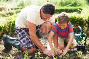 Father and son gardening with children.
