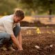 A young farmer of the future.