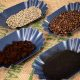 Samples of unroasted coffee beans, roasted coffee beans, spent ground coffee and the team’s coffee biochar. Credit: Carelle Mulawa-Richards, RMIT University