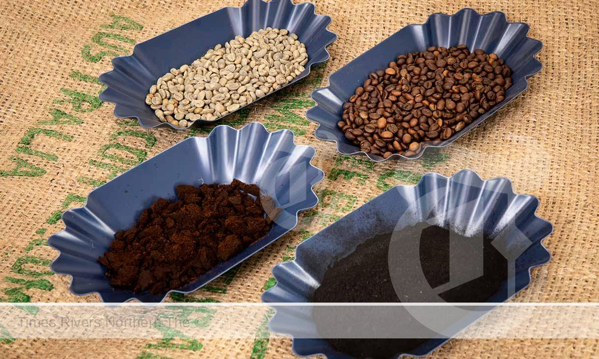 Samples of unroasted coffee beans, roasted coffee beans, spent ground coffee and the team’s coffee biochar. Credit: Carelle Mulawa-Richards, RMIT University