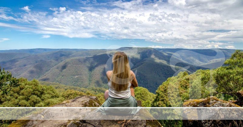 Barrington Tops - Thunderbolts Lookout.