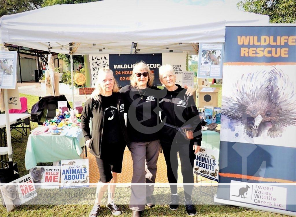 Tweed Valley Wildlife Carers workers at the World Environment Day Festival.