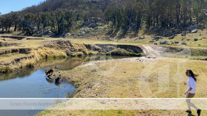 A hailstorm caused further damage before more bushfires hit the area in 2021:22