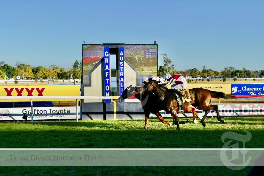 Cepheus hits the line a neck in front of New Zealand galloper Cotohele to win the Grafton Toyota South Grafton Cup (1600m). Third placed Barellan Bandit is 2.5 lengths further back.