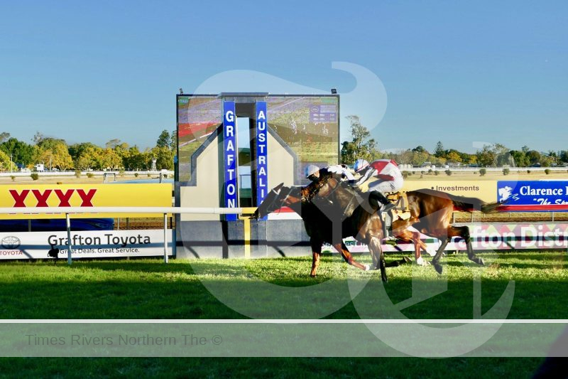 Cepheus hits the line a neck in front of New Zealand galloper Cotohele to win the Grafton Toyota South Grafton Cup (1600m). Third placed Barellan Bandit is 2.5 lengths further back.