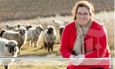 Melissa Henry on breeding coloured sheep.