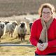 Melissa Henry on breeding coloured sheep.