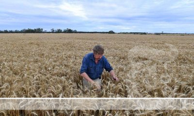 Farmers and industry supporters are being encouraged to converge on Canberra in two weeks for a critical discussion about the farm sector’s future. at the NFF National Conference.