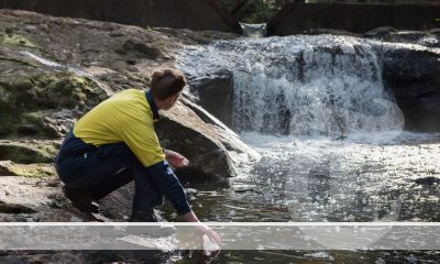 Level 1 water restrictions will be activated when Rocky Creek Dam reaches 70 per cent to help preserve the region’s water supply. Rous Water Restrictions