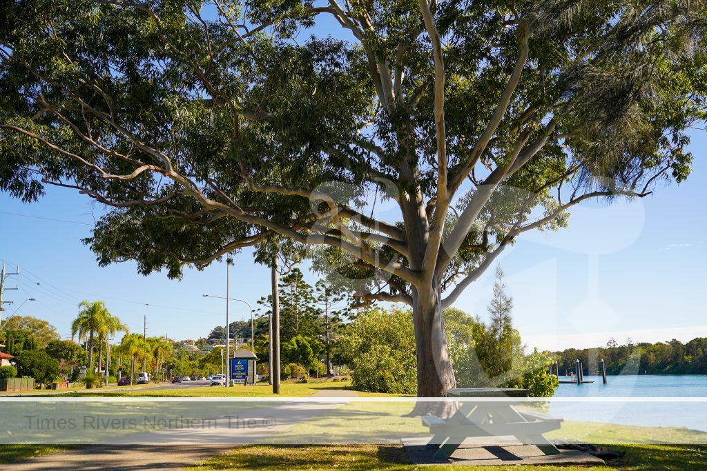 Cool Towns - Tweed Shire Urban Forest Program - Hands up if your street could do with some more shade