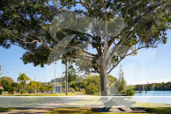 Cool Towns - Tweed Shire Urban Forest Program - Hands up if your street could do with some more shade