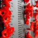 REMEMBRANCE DAY 2023 poppys on the wall