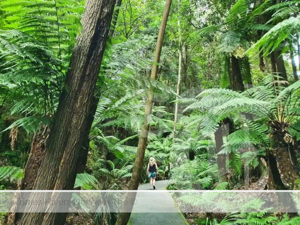 Australian National Botanic Gardens, Canberra - Australia's Botanical Gardens