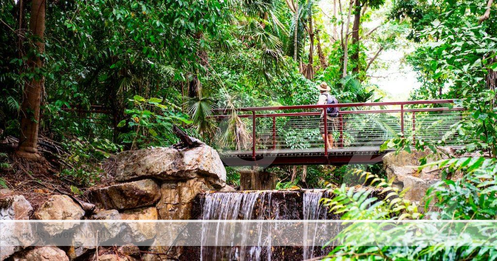 Darwin Botanic Gardens, Northern Territory - Australia's Botanical Gardens