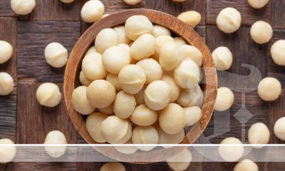 Australia’s best macadamia growers have been honoured in the industry’s Awards of Excellence, announced the peak industry body, the Australian Macadamia Society (AMS) today.