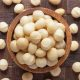 Australia’s best macadamia growers have been honoured in the industry’s Awards of Excellence, announced the peak industry body, the Australian Macadamia Society (AMS) today.