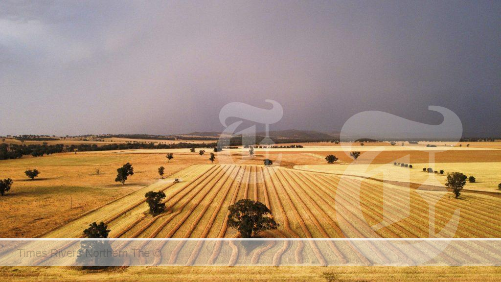Storm Above Harvest photo in #AgDayAU