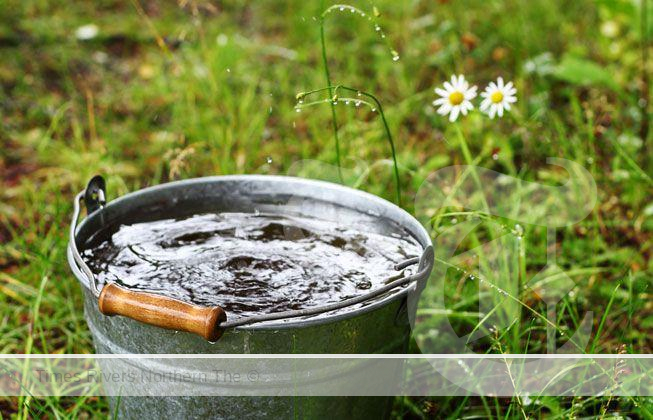 Grey Water Gardening collecting waste water