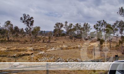 Tenterfield Drought Resilient