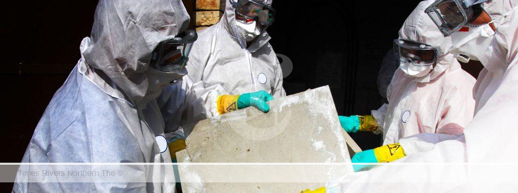 Asbestos in a young people house