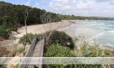 After many years of planning, the restoration of the degraded Sandhills wetland in Byron Bay is progressing with an Environmental Impact Statement (EIS) now on public exhibition.