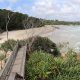 After many years of planning, the restoration of the degraded Sandhills wetland in Byron Bay is progressing with an Environmental Impact Statement (EIS) now on public exhibition.