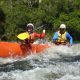 Nymboida Camping and Canoeing organisation