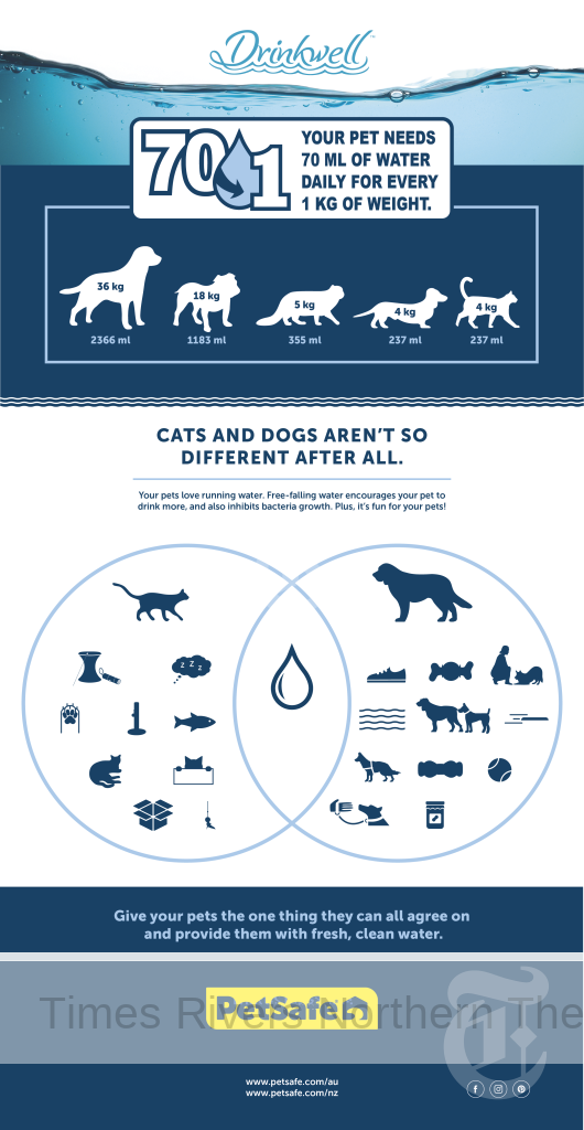 Pet Hydration Chart for PetSafe by Dr. Katrina Warren.