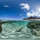 Lady Elliot Island