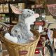 A Bilby resting in one of the many Lismore businesses participating in the Bilby Discovery Adventure.
