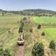 Construction on the Lismore to Bentley section of the Northern Rivers Rail Trail