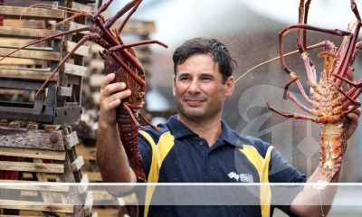 Rock Lobster Industry Seismic Testing