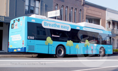 zero emission buses