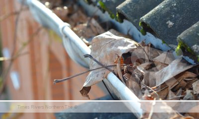 How to Keep Gutters Clean